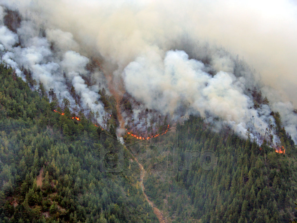 Incendiu Toroioaga